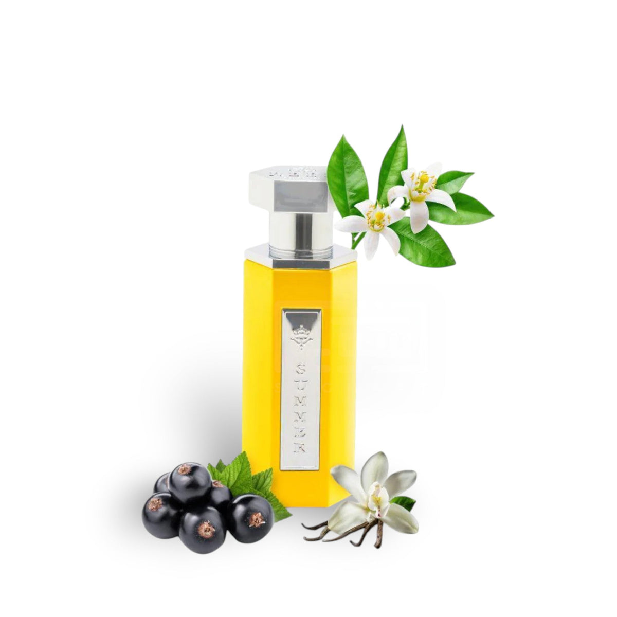 Summer Yellow 100ml Eau de Parfum by Reef perfume bottle close up